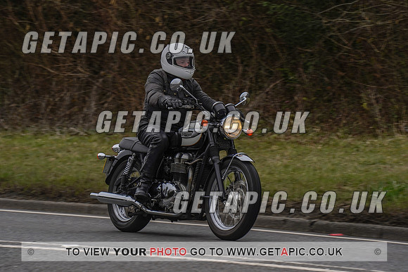 RS2203_1187
