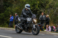 GP2108-75381