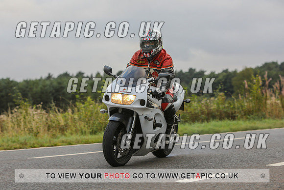 GP2109-78294