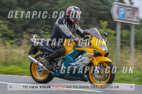 GP2109-78309