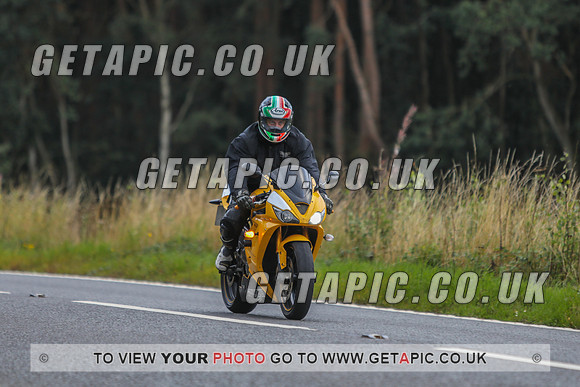 GP2109-78319