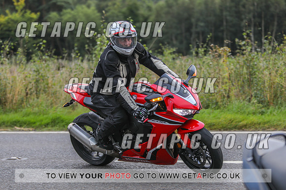 GP2109-78316