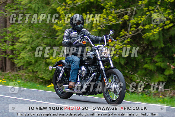 WC2504-3933-C