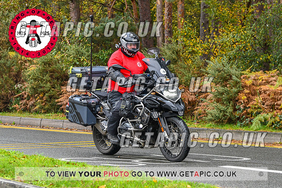 DW2311-51956_LOGO_ON_PHOTO