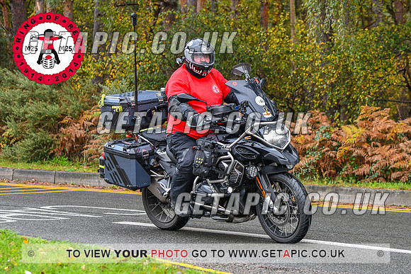 DW2311-51957-C_LOGO_ON_PHOTO