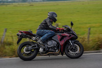 RS2109_3075
