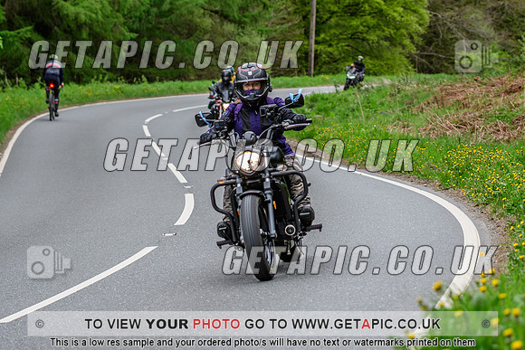 SP2504-3452