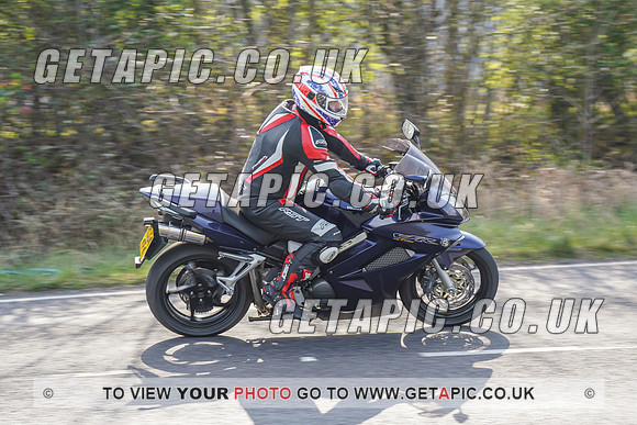 RS2203_4582