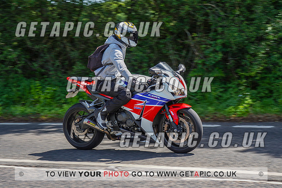 RS2205_17655