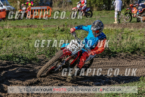 G1910_4175_E
