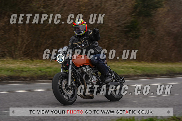 RS2203_1181