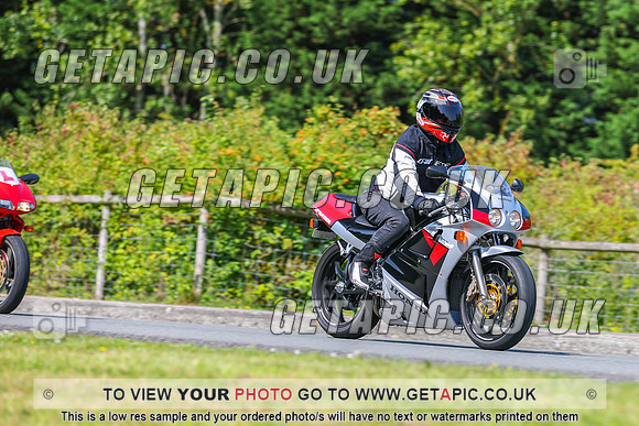 GP2508-8160-C