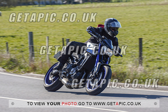 RS2204_1099