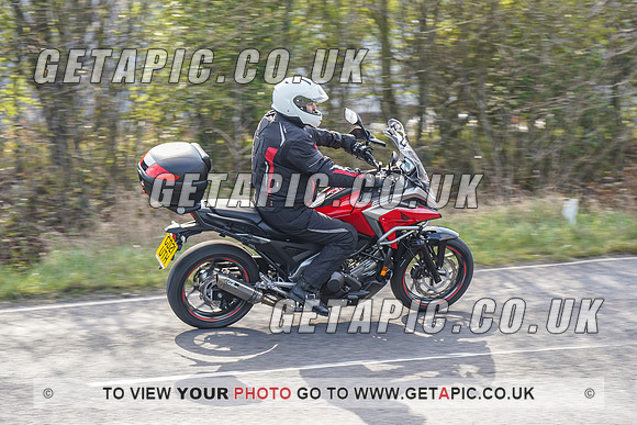 RS2203_4594