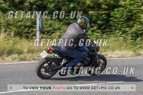RS2006_11289