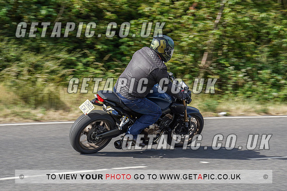 RS2006_11290