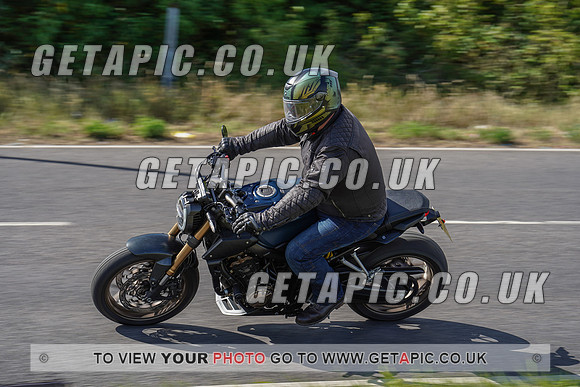 RS2006_11301