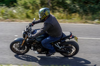 RS2006_11302