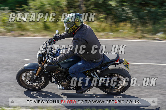 RS2006_11302