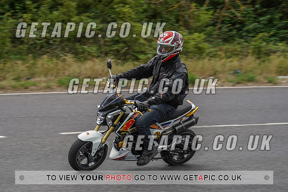 RS2006_11327
