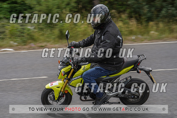 RS2006_11328
