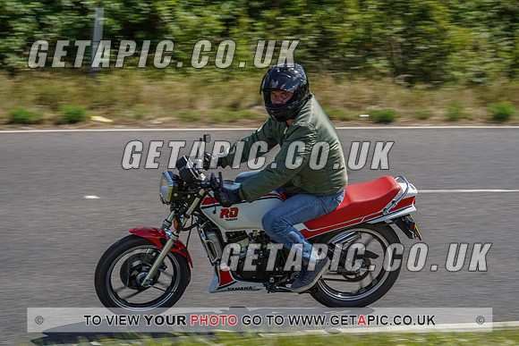 RS2006_11799
