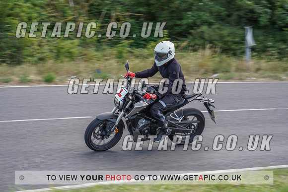 RS2006_11813