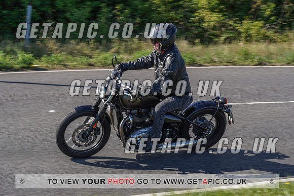 RS2007_10003
