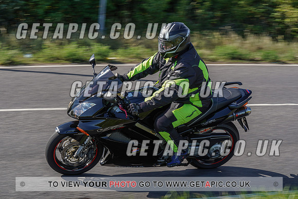 RS2007_10006