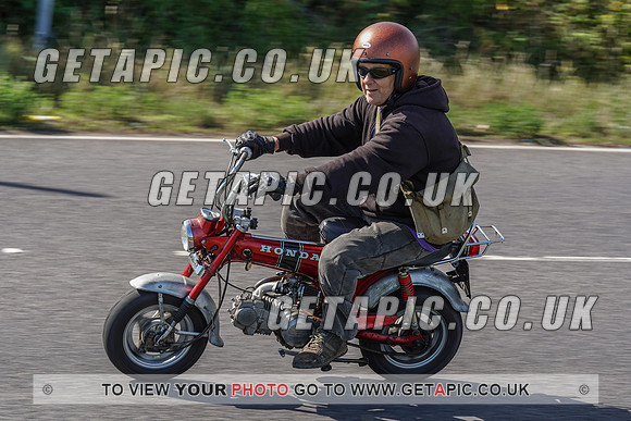 RS2007_10033