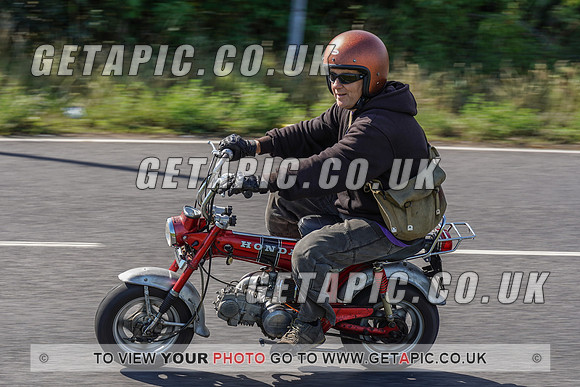 RS2007_10034