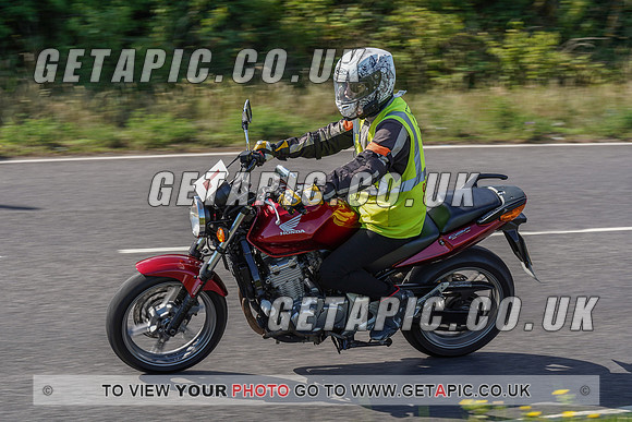 RS2007_10043