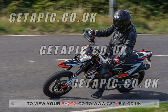 RS2007_10045