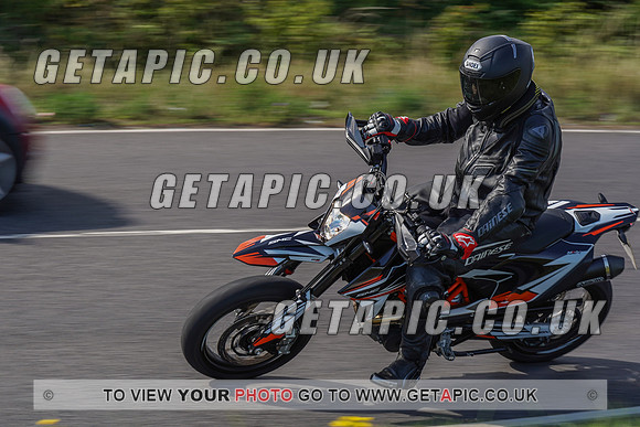 RS2007_10046