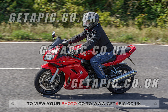 RS2007_10047