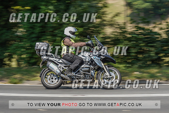 RS2008_10455