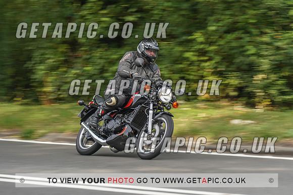 RS2008_10010