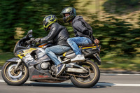 RS2008_10461