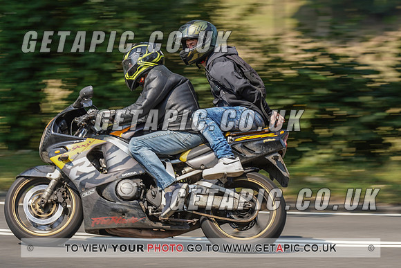 RS2008_10461