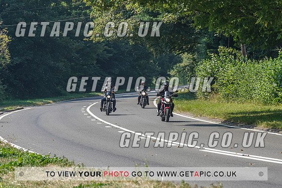 RS2008_10468
