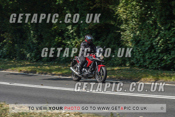 RS2008_10469