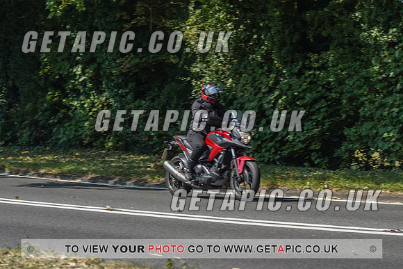 RS2008_10470
