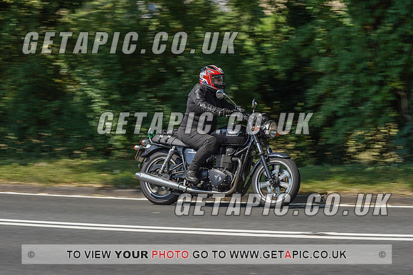 RS2008_10472
