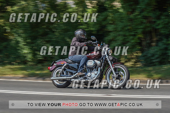 RS2008_10473