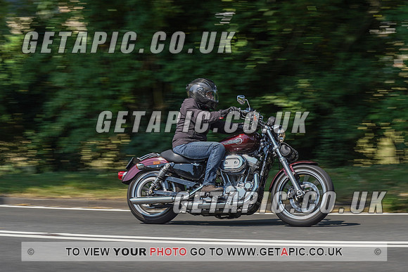 RS2008_10474
