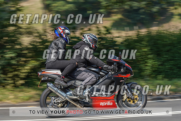 RS2008_10475