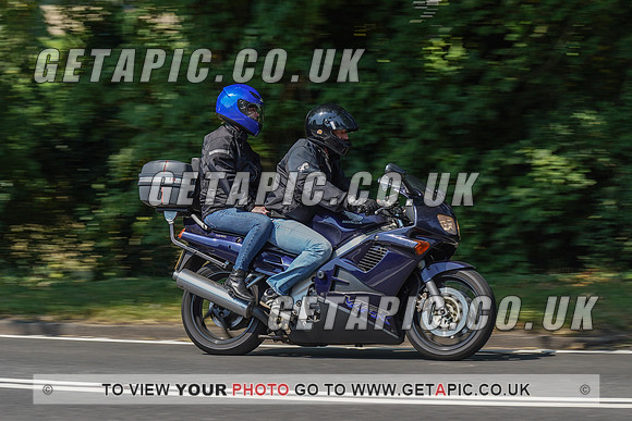 RS2008_10480