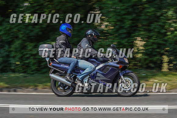 RS2008_10481
