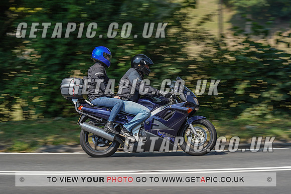 RS2008_10482