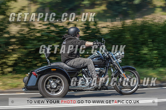 RS2008_10489